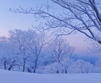 吉林长春字母斯慕圈吉林延边四平通化白城绳艺KBSP爱好者社群